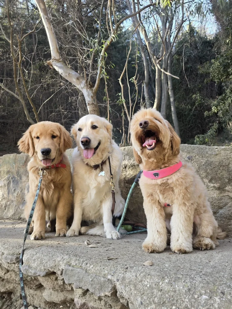 tienda de mascotas en Barcelona