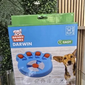 Brainy games Darwin (easy)